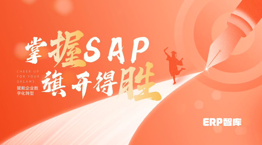 掌握SAP